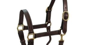 Horse Halter