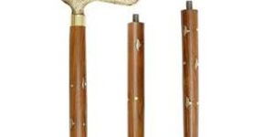 Golden Walking Stick