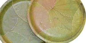 Round Sal Leaf Plates