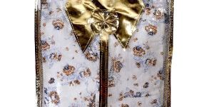 Transparent Shirt Cover