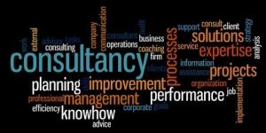 Management System Implementation Services