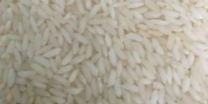 Sona Masoori Steam Rice