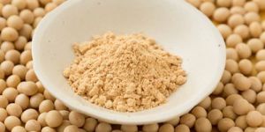Soybean Flour