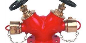 Double Headed Valve