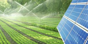 Industrial Solar Irrigation Pump