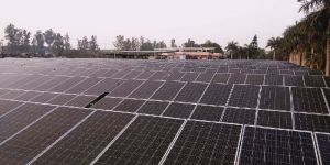 Solar Plant Maintenance
