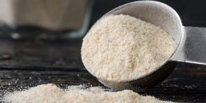 Dehydrated Onion Powder