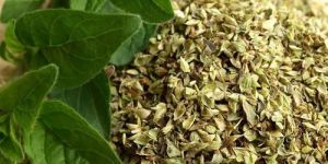 Oregano Flake