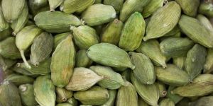 Cardamom Pods