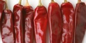 Teja S17 Dry Red Chilli