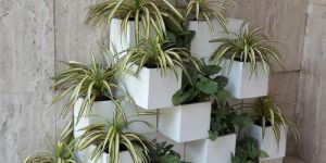 FRP Designer Planters
