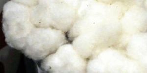 Soft Raw Cotton