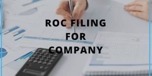 ROC Annual Return Filing Services
