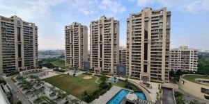 Luxury Apartment Service