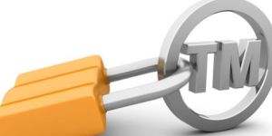 Trademark Litigation Services