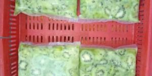 Frozen Kiwi Slices