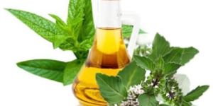 Mentha Arvensis Oil