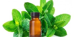 Spearmint Oil