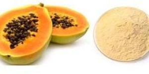 Papaya Powder