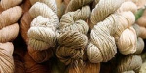 Organic Cotton Yarn