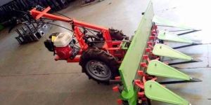 Paddy Reaper Machine