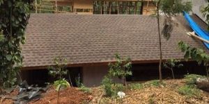 Asphalt Roof Shingle