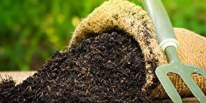 Organic Fertilizer