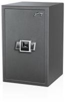 Biometric Electronic Safe