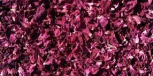 Red Dried Rose Petels