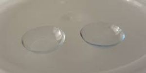 Contact Lenses