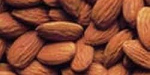 Almond Seed