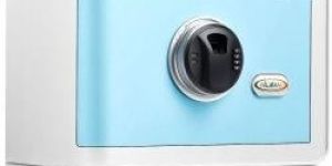 Biometric Lock Safes