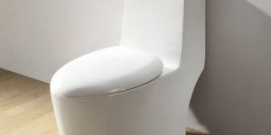 Ceramic Western Toilet Seat