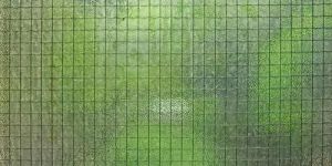 Window Glass