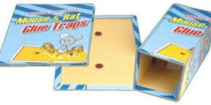 Rodent Mouse Glue Trap