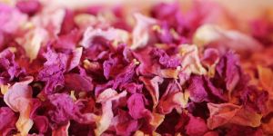 Dried Pink Rose Petals
