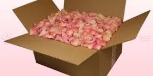 Dried Red Rose Petals