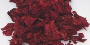 Dried Rhododendron Flowers