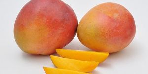 Tree Ripened Mango