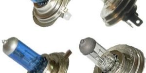 Halogen Bulbs