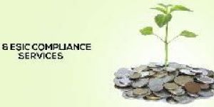 PF Consultancy Service