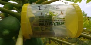 Fruit fly trap - Horizontal