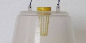 Mcphail Trap