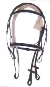 Horse Bridle