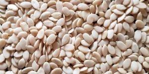 Natural Melon Kernel