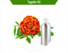 Tagette Essential Oil