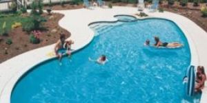 Swimming Pool Filtration System