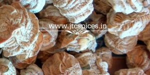 Dried Cucumis Pubescens