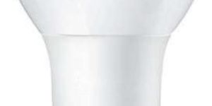 Philips Type LED Bulb