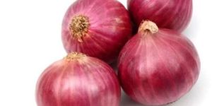 Fresh Pink Onion
